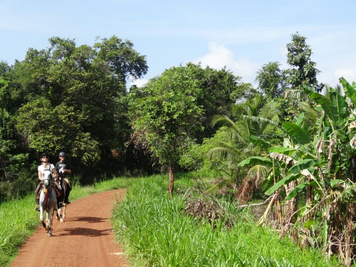 Dschungel Reitsafari Sri Lanka