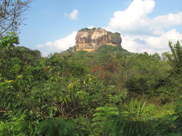 Dschungel Reitsafari Sri Lanka