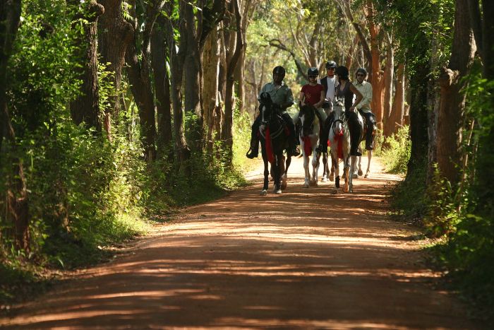 Sri Lanka Tropen & Strand Trail