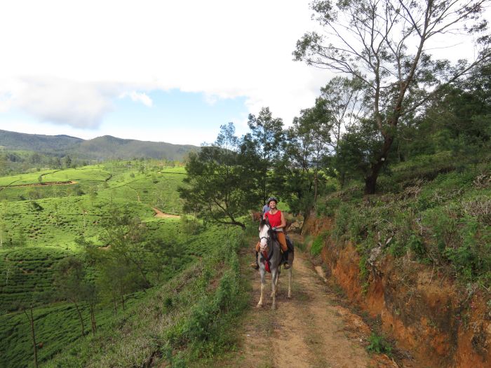 Sri Lanka Tropen & Strand Trail