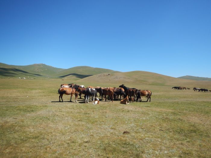 Kirgisistan Durchquerung