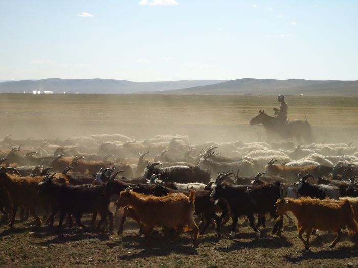 Zentrale Mongolei und Steppen der Nomaden