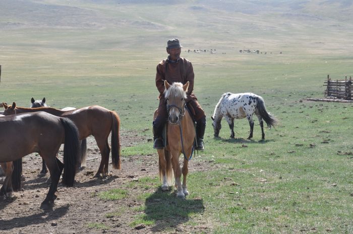 Zentrale Mongolei und Steppen der Nomaden