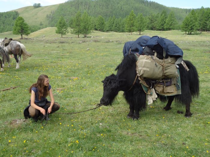 Zentrale Mongolei und Steppen der Nomaden