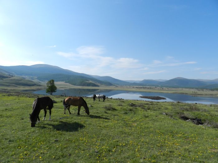 Zentrale Mongolei und Steppen der Nomaden