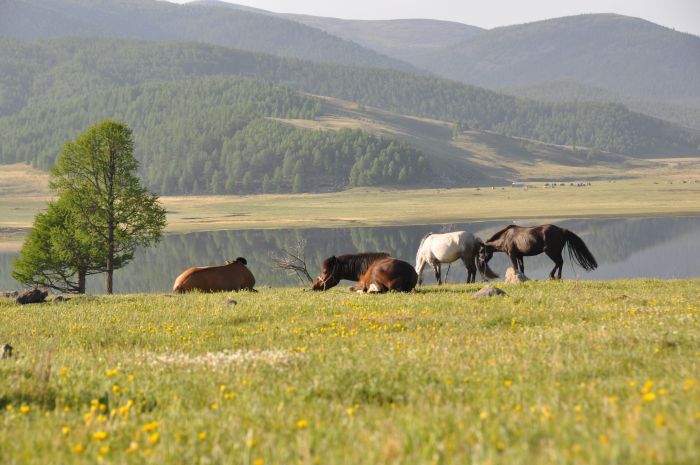 Zentrale Mongolei und Steppen der Nomaden