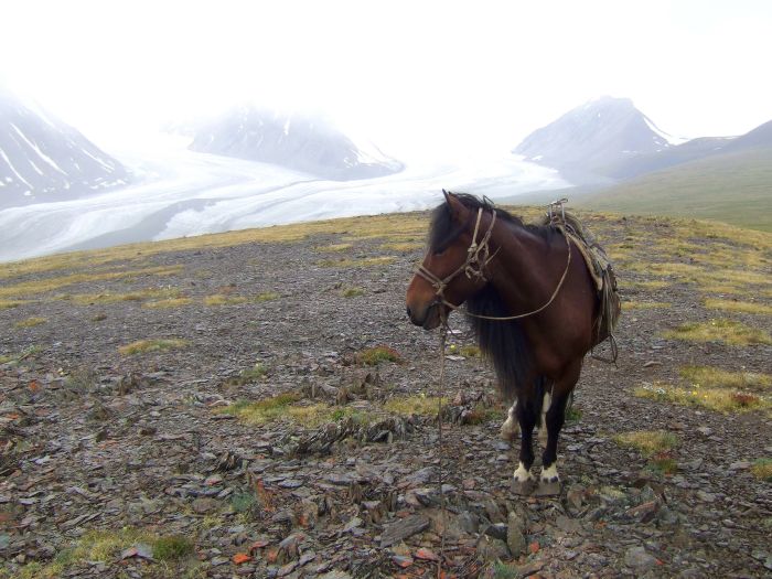 Altai-Gebirge: Im Land der Adler