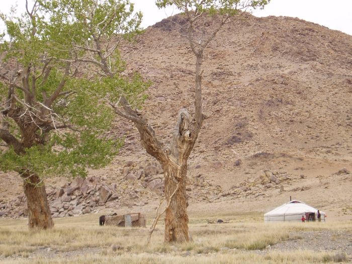 Altai-Gebirge: Im Land der Adler