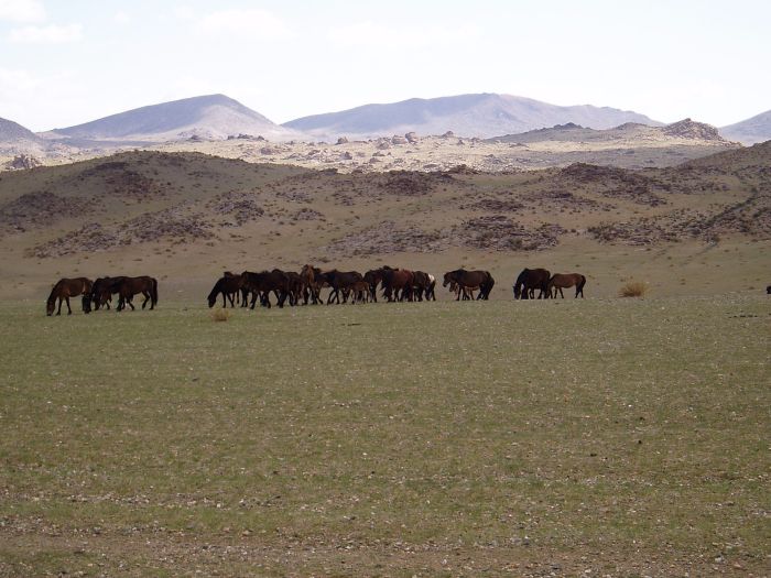 Altai-Gebirge: Im Land der Adler