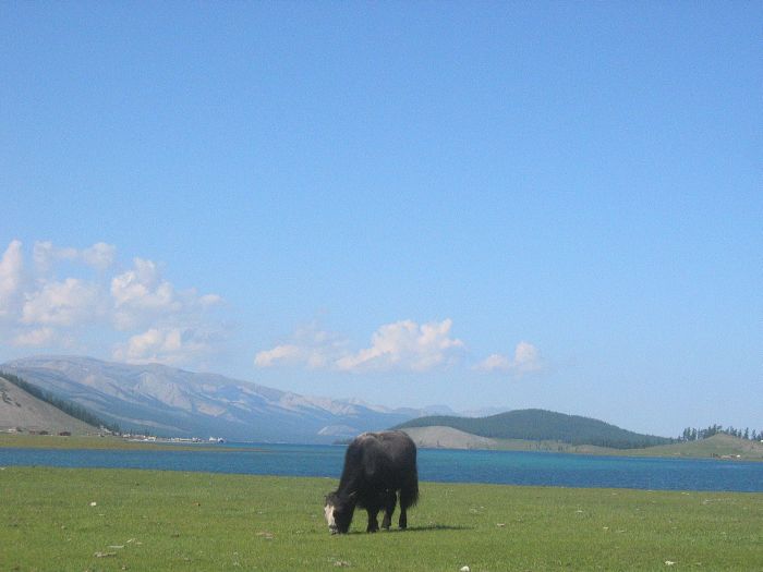 Altai-Gebirge: Im Land der Adler