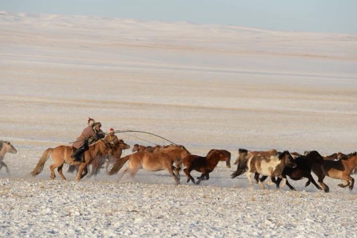 Winterzauber in den Khenti-Bergen