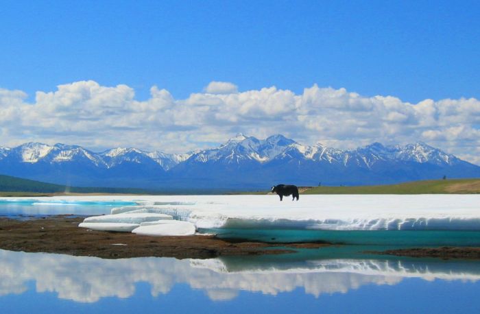 Winterzauber in den Khenti-Bergen