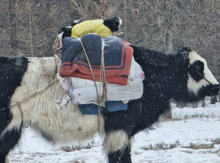 Winterzauber in den Khenti-Bergen