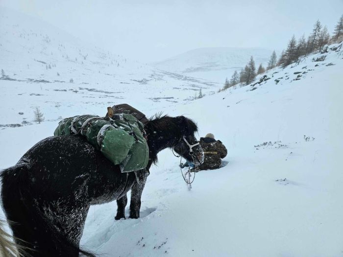 Winterzauber in den Khenti-Bergen