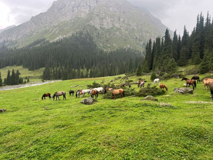 Kirgisistan Gletscher Trails