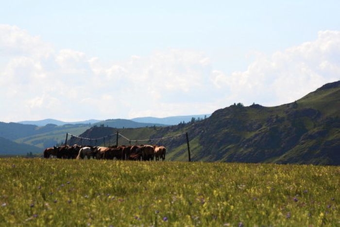 Mongolei Steppen Expedition