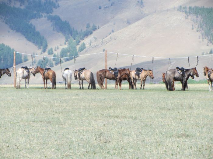 Mongolei Steppen Expedition