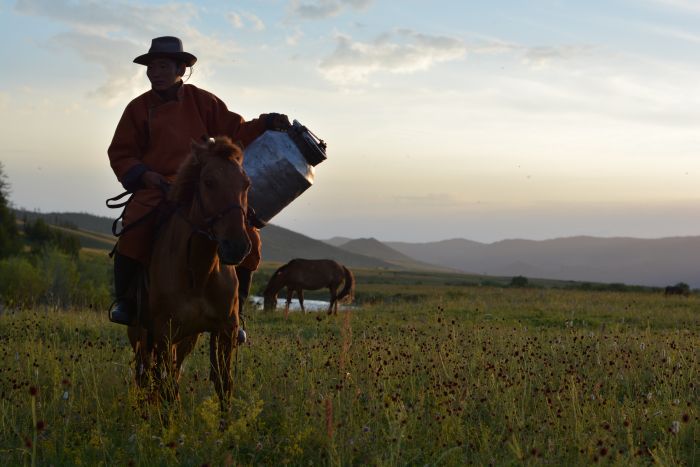 Mongolei Steppen Expedition