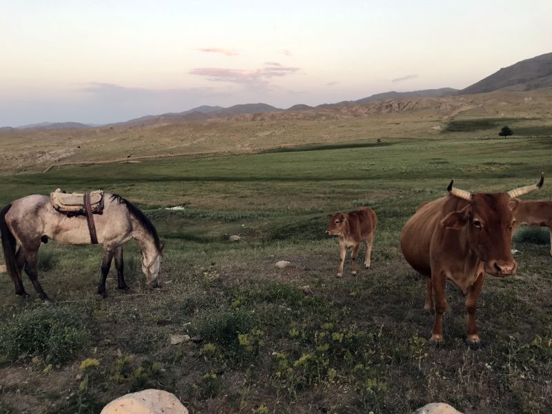 Seidenstrassen Trail in Usbekistan