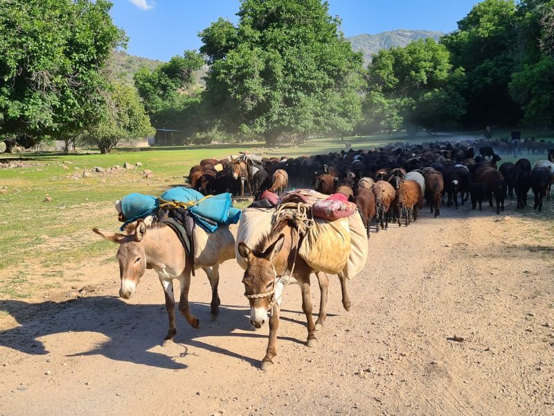 Seidenstrassen Trail in Usbekistan