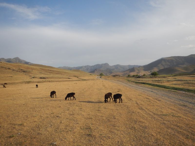 Seidenstrassen Trail in Usbekistan