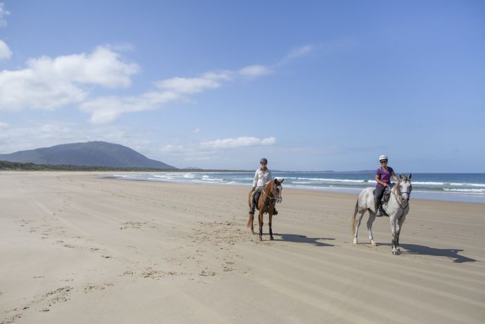 Comboyne Plateau- und Strandritt