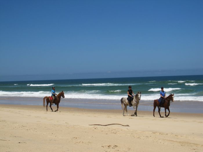 Comboyne Plateau- und Strandritt