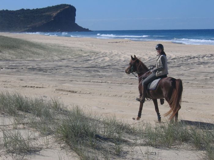 Comboyne Plateau- und Strandritt