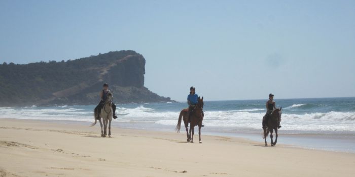 Comboyne Plateau- und Strandritt