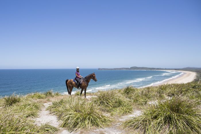 Comboyne Plateau- und Strandritt