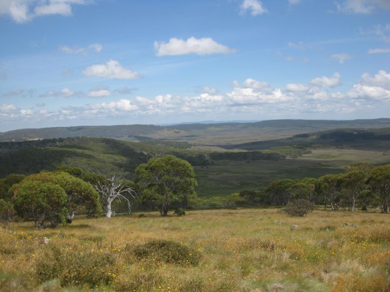 Snowy Mountains Wildnisritte