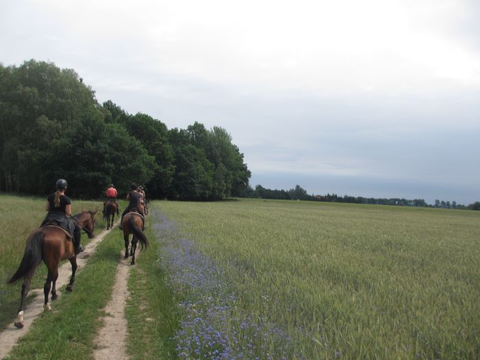 Sternritte in Westpommern