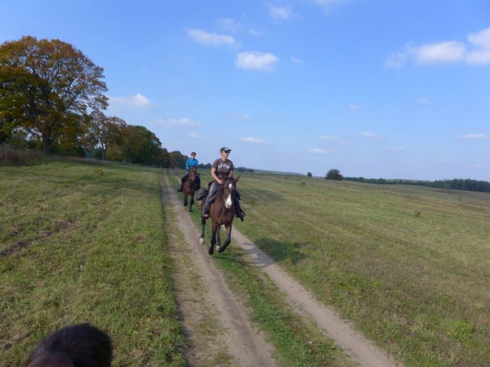 Sternritte in Westpommern