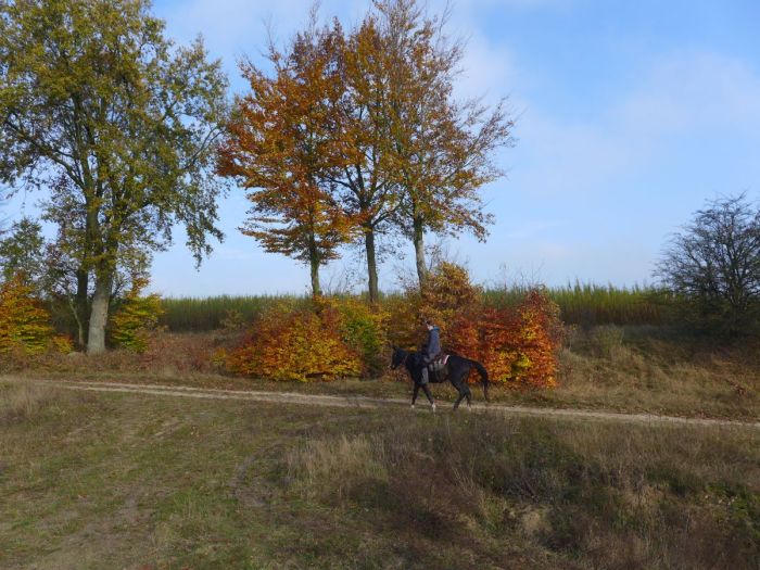 Sternritte in Westpommern