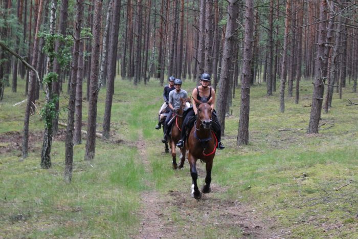 Sternritte in Westpommern