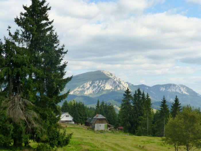 Auf den Spuren der Bären