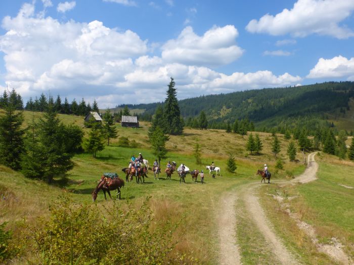 Auf den Spuren der Bären