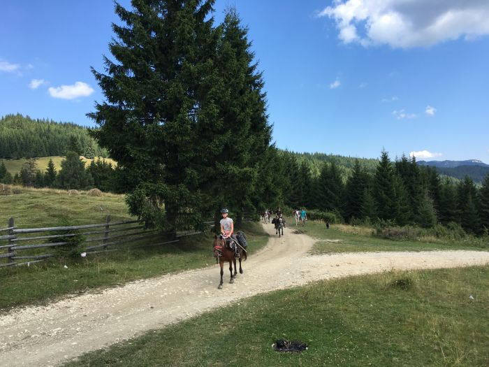 Auf den Spuren der Bären