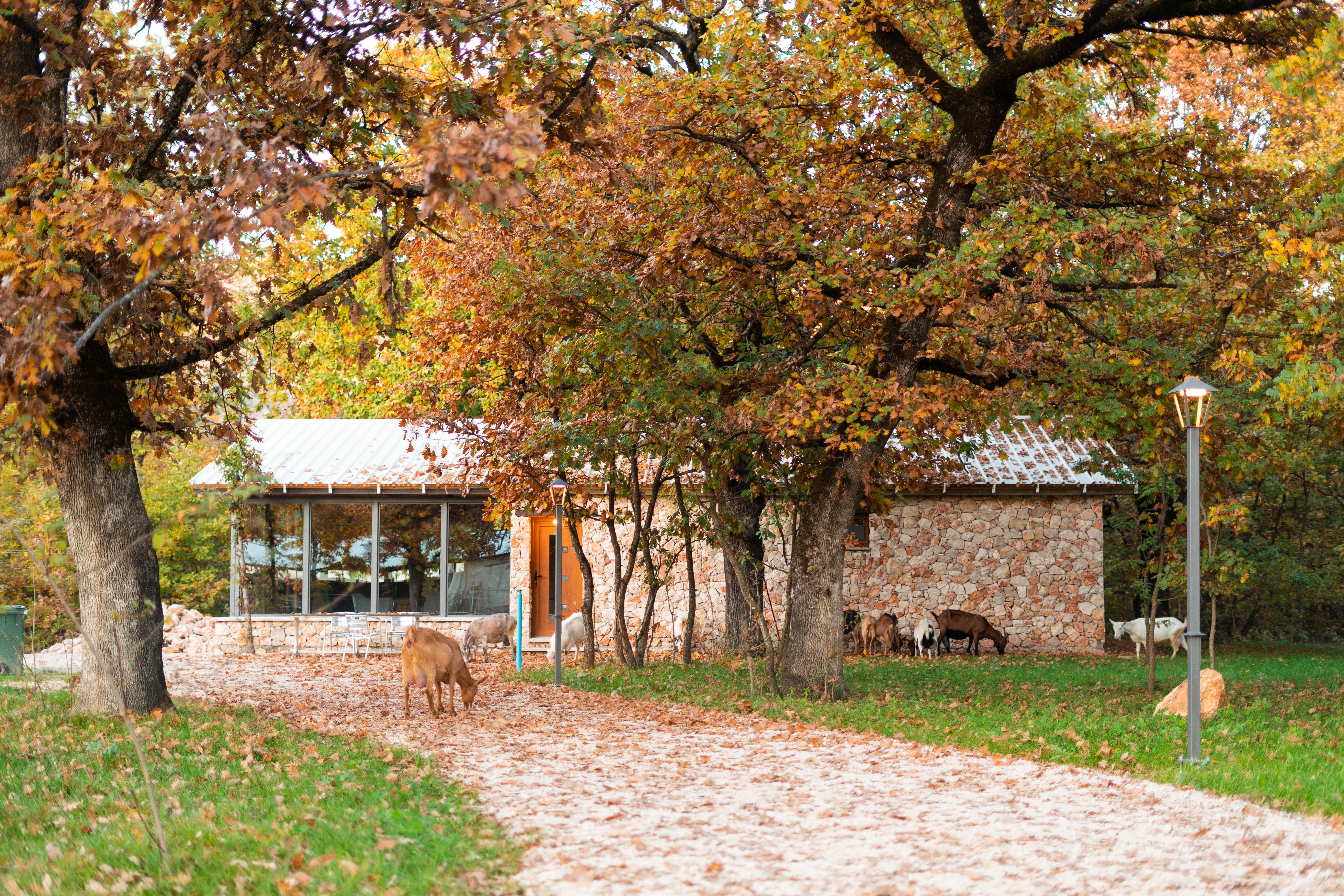 Reiturlaub in der Herzegowina Unterkunft