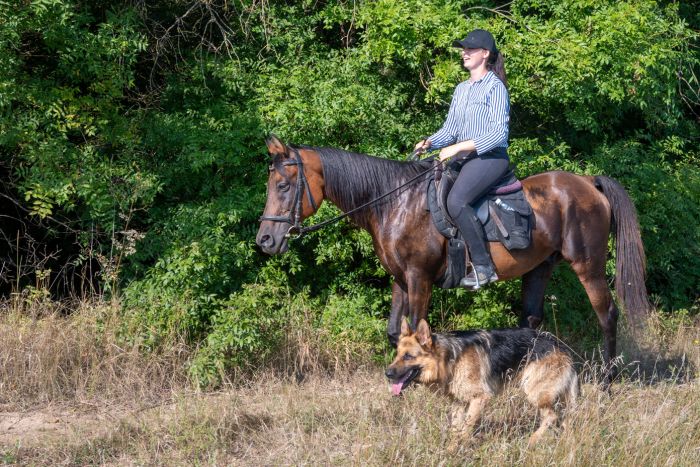 Reiturlaub in der Herzegowina