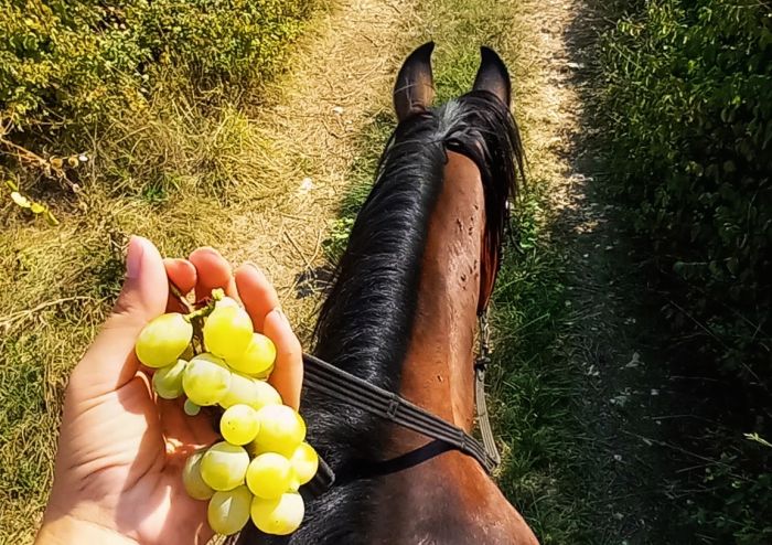 Reiturlaub in der Herzegowina