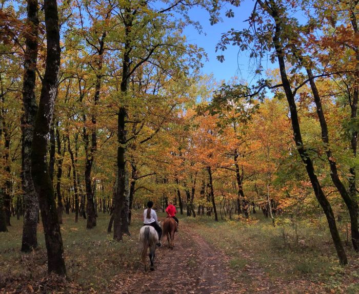 Reiturlaub in der Herzegowina
