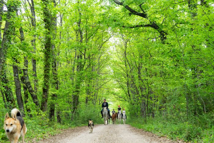 Reiturlaub in der Herzegowina