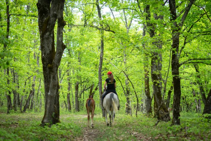 Reiturlaub in der Herzegowina