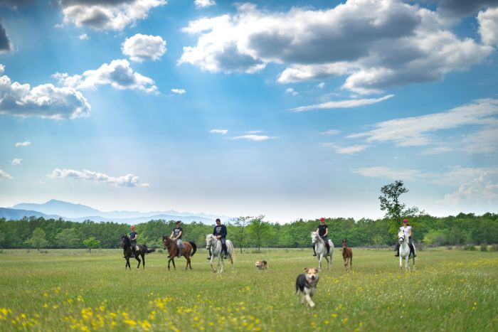 Reiturlaub in der Herzegowina