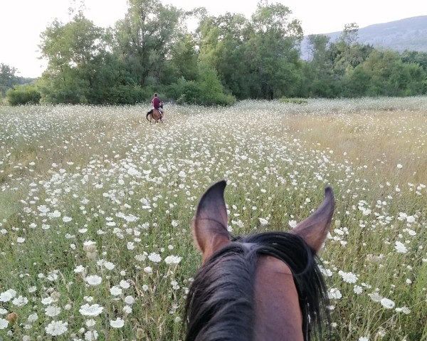 Reiturlaub in der Herzegowina