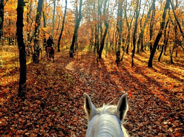Reiturlaub in der Herzegowina