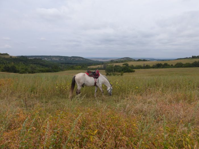 Bulgariens Wildnis