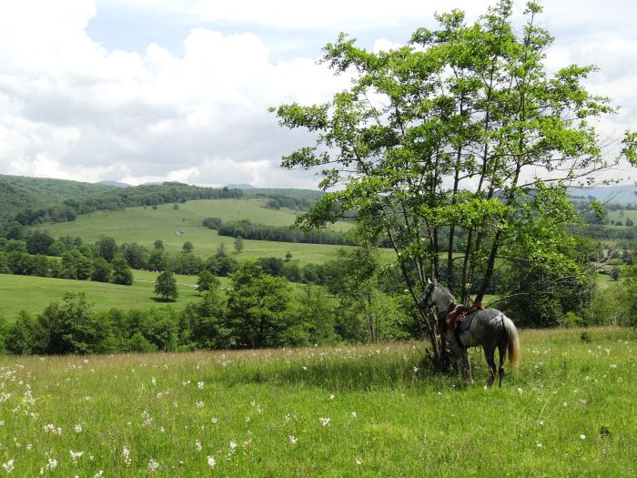 Transsilvanien Trail mit Komfort