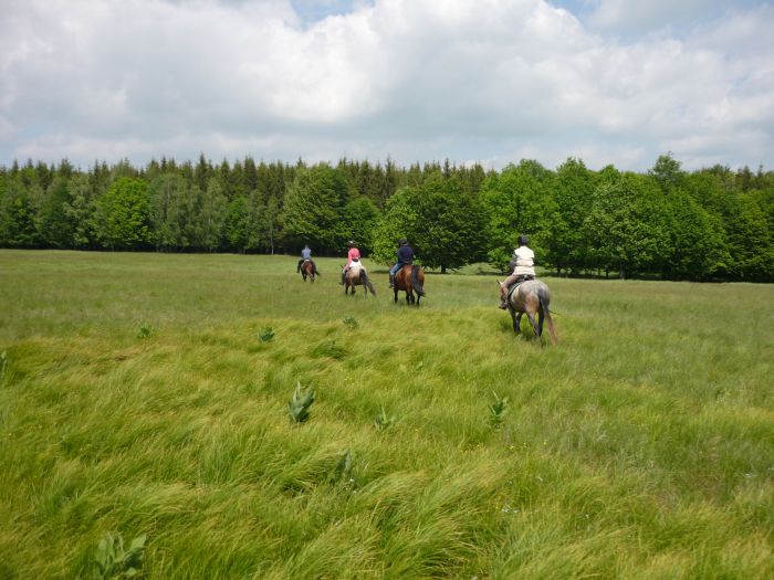 Transsilvanien Trail mit Komfort